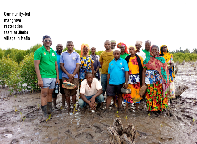 Community-led Mangrove Restoration